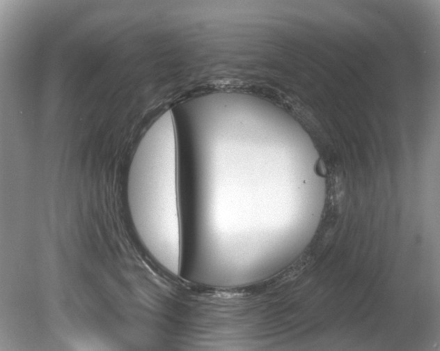 X0000080150664200612081054