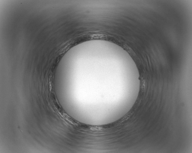 X0000080150666200612081054
