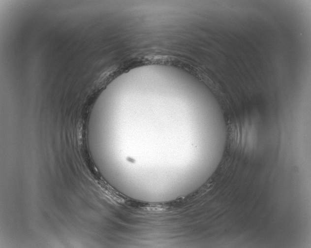 X0000080150668200612081054