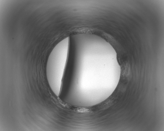 X0000080150669200612081054