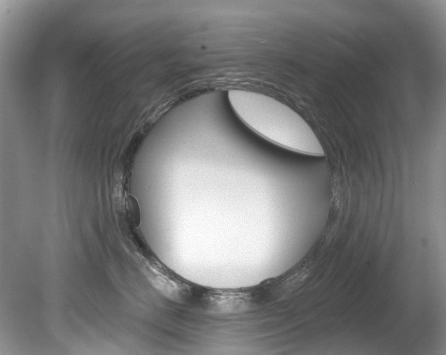 X0000080150670200612081054