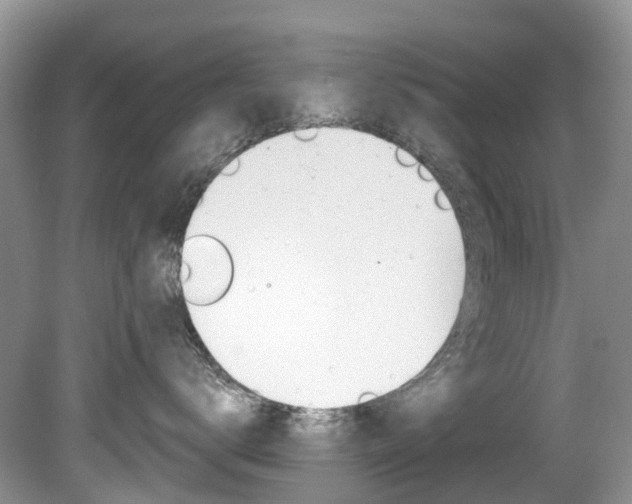 X0000080150672200612081054