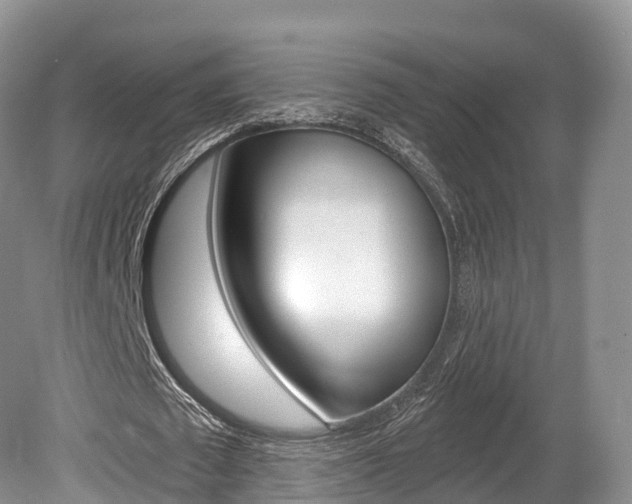 X0000080150673200612081053