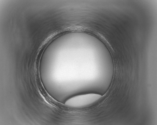 X0000080150674200612081053