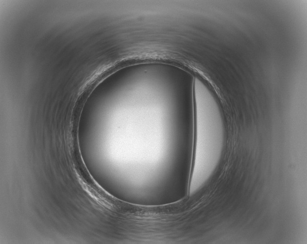 X0000080150677200612081053
