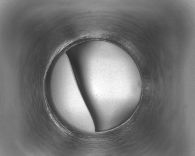 X0000080150678200612081053