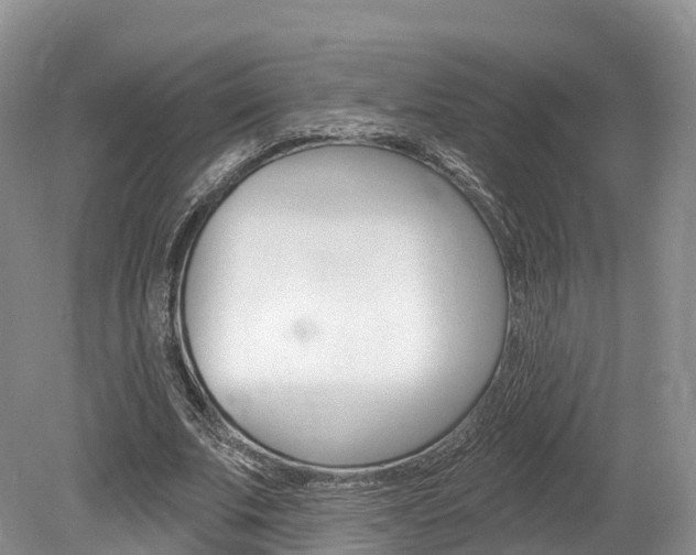 X0000080150679200612081053
