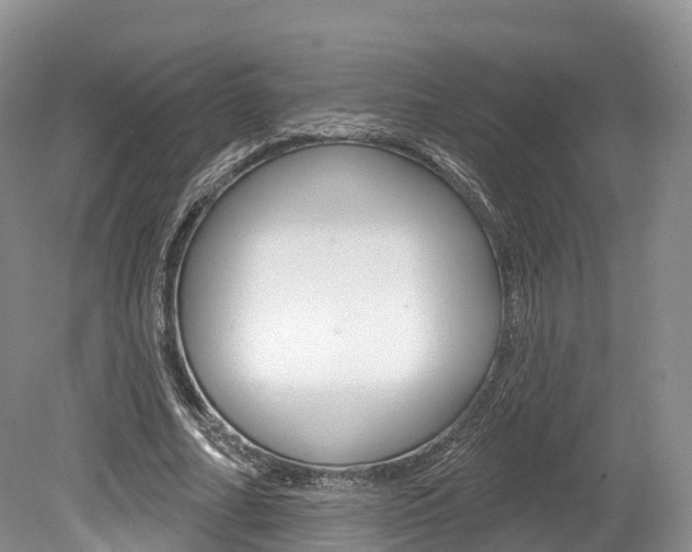 X0000080150682200612081053