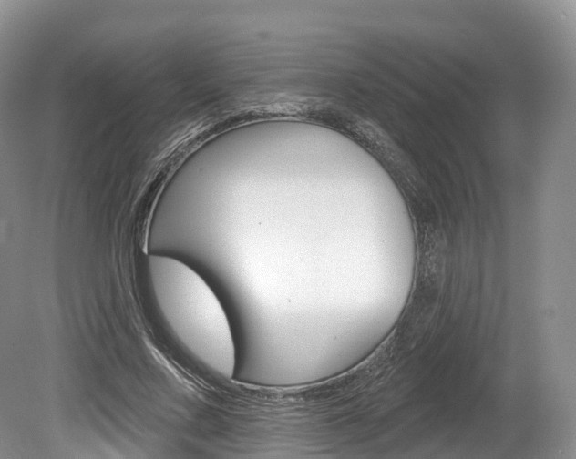 X0000080150683200612081053
