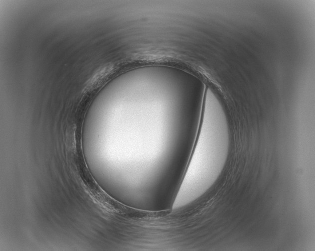 X0000080150685200612081053