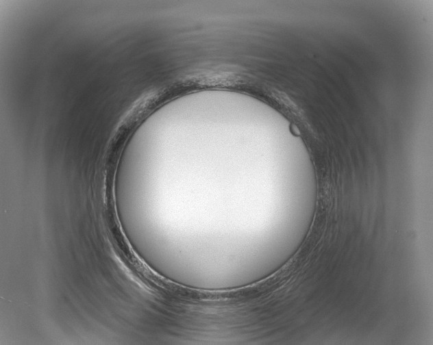 X0000080150686200612081053