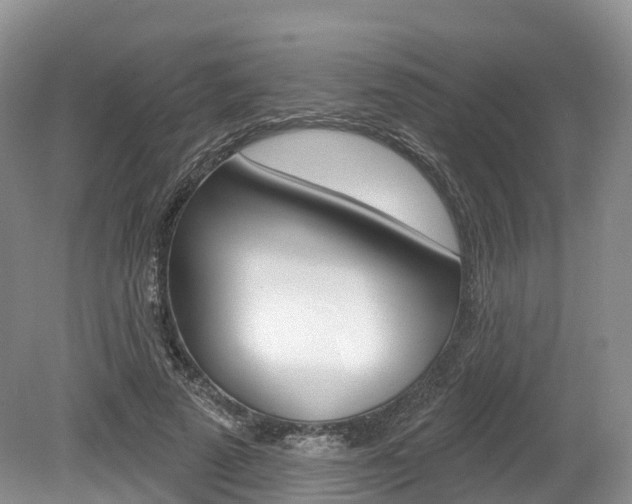 X0000080150689200612081053