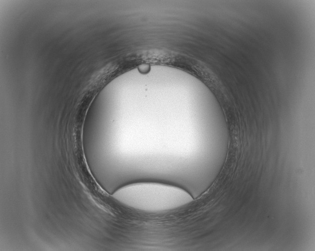 X0000080150690200612081053