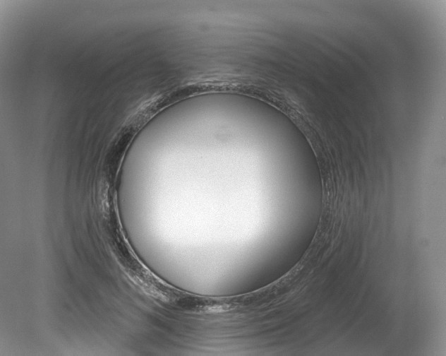 X0000080150692200612081053