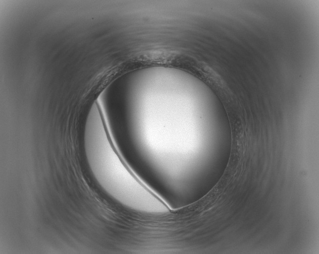 X0000080150693200612081053