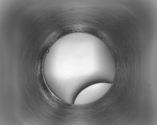 X0000080150694200612081053