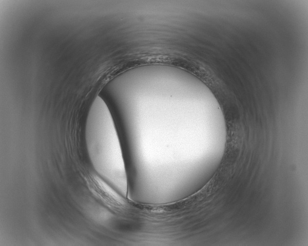 X0000080150695200612081053