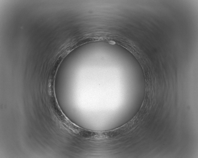 X0000080150696200612081053