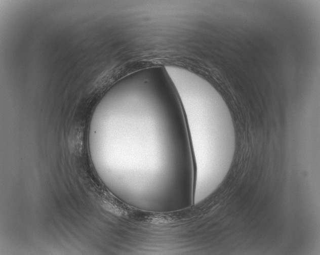 X0000080150697200612081053