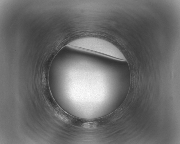 X0000080150700200612081052