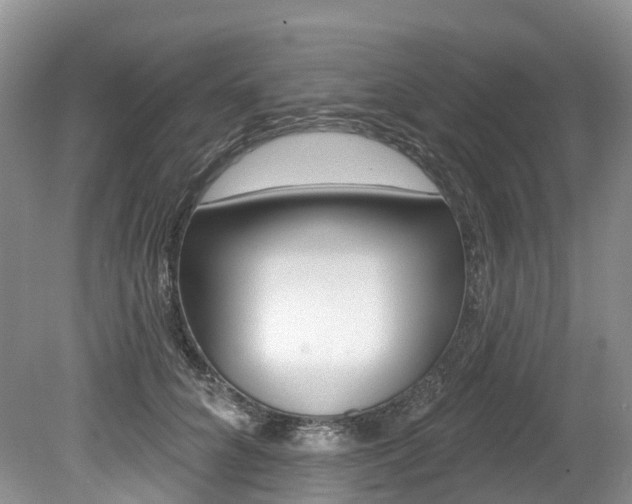 X0000080150704200612081052