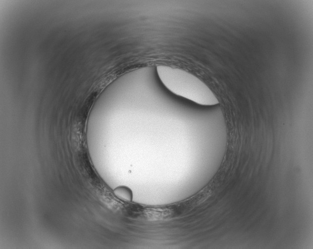 X0000080150707200612081052