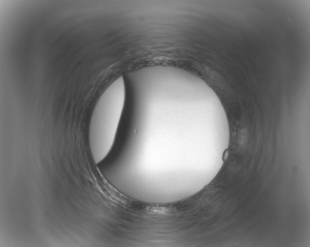 X0000080150710200612081052