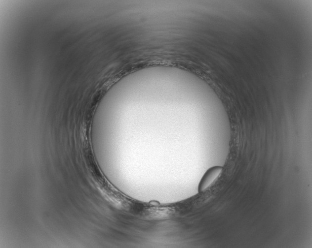 X0000080150711200612081052