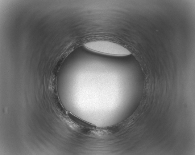 X0000080150712200612081052