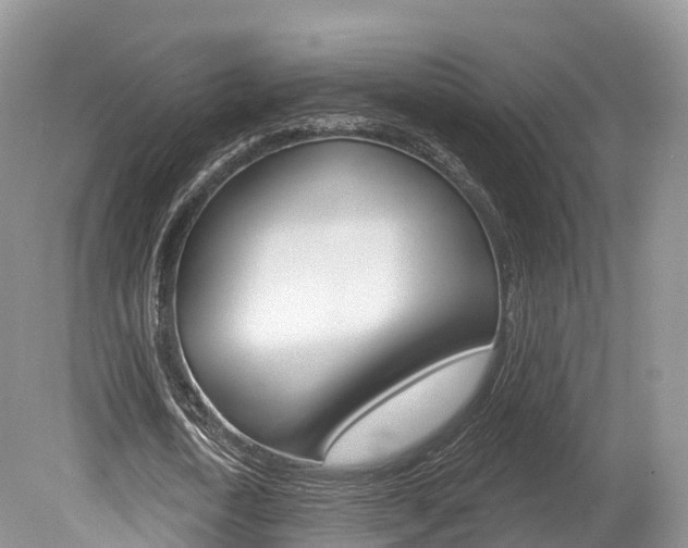 X0000080150722200612081051