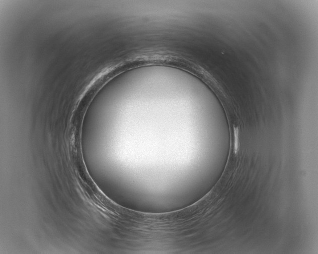 X0000080150723200612081051