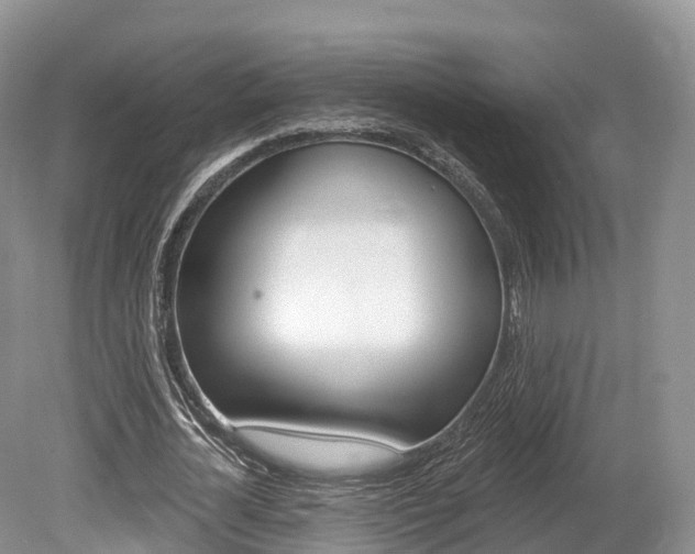 X0000080150724200612081051
