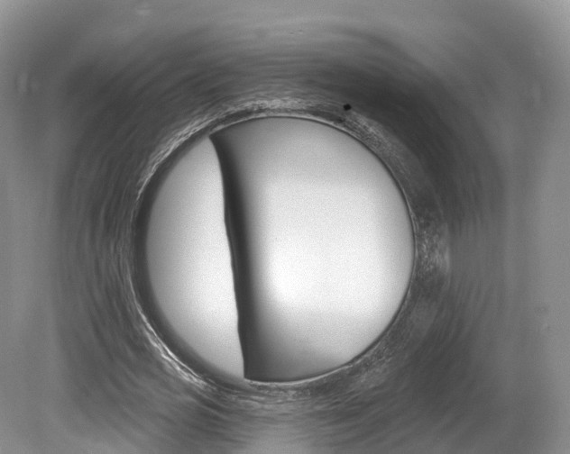 X0000080150725200612081051
