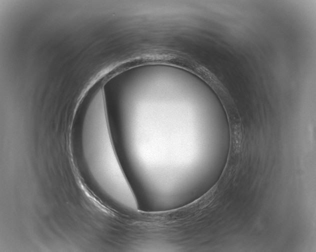 X0000080150726200612081051