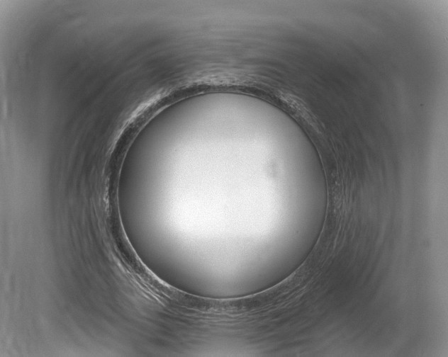 X0000080150727200612081051