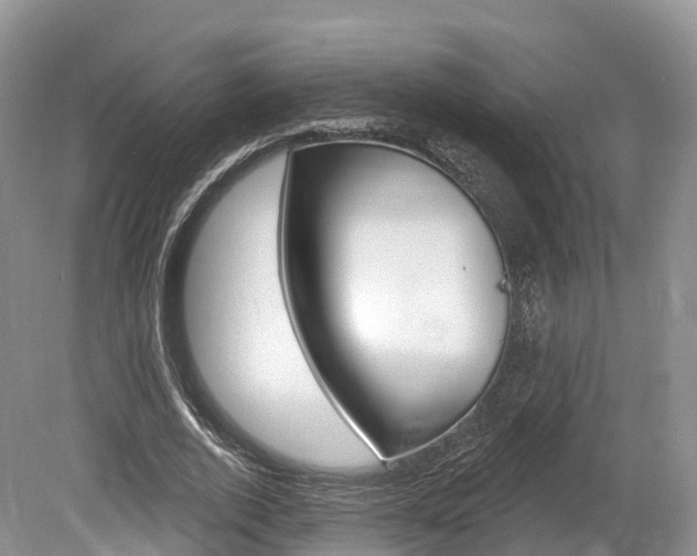 X0000080150728200612081051