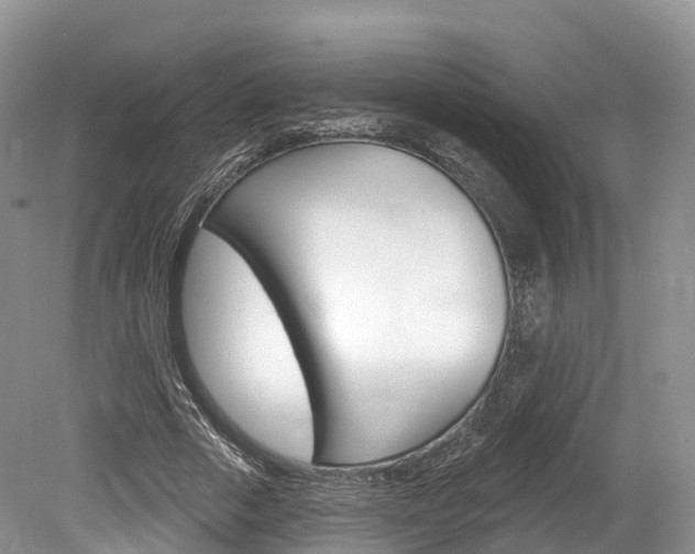 X0000080150729200612081051
