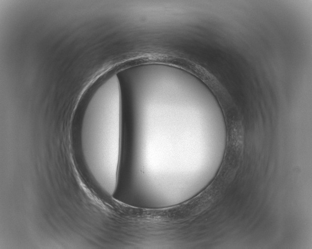 X0000080150730200612081051