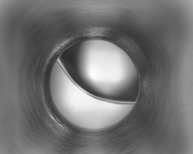 X0000080150732200612081052