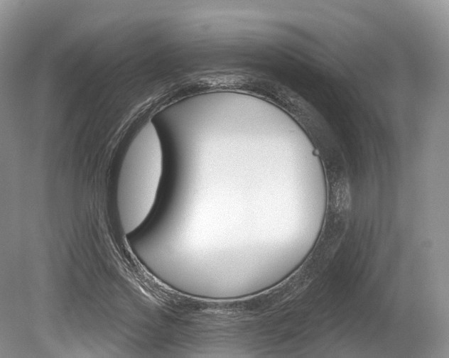 X0000080150733200612081052