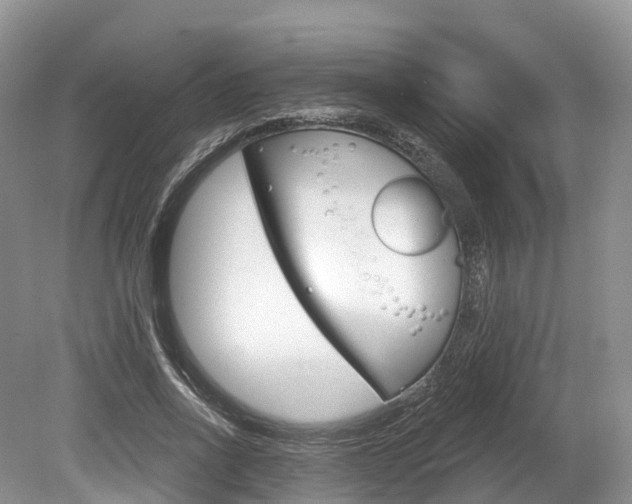 X0000080150734200612081052