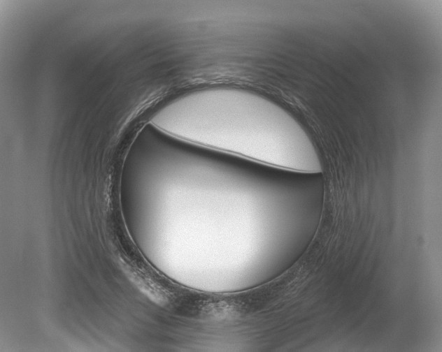 X0000080150735200612081052