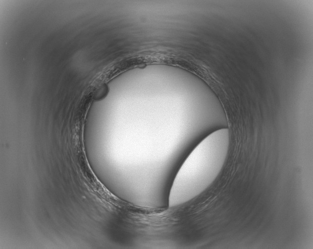 X0000080150737200612081052