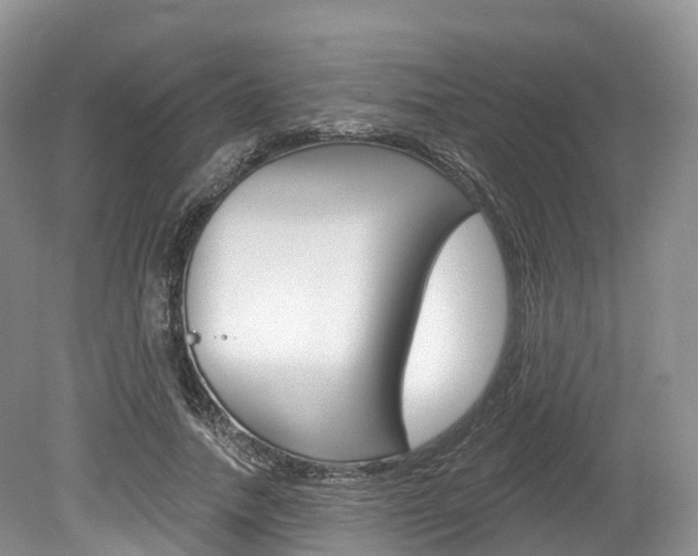 X0000080150738200612081052