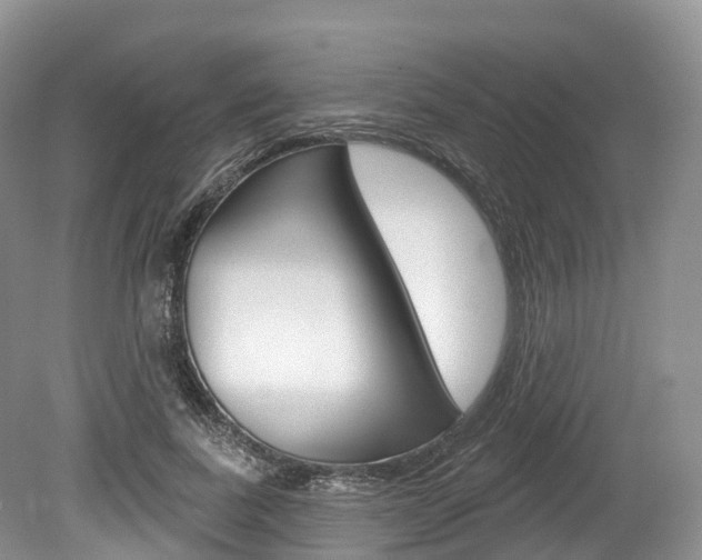 X0000080150739200612081052