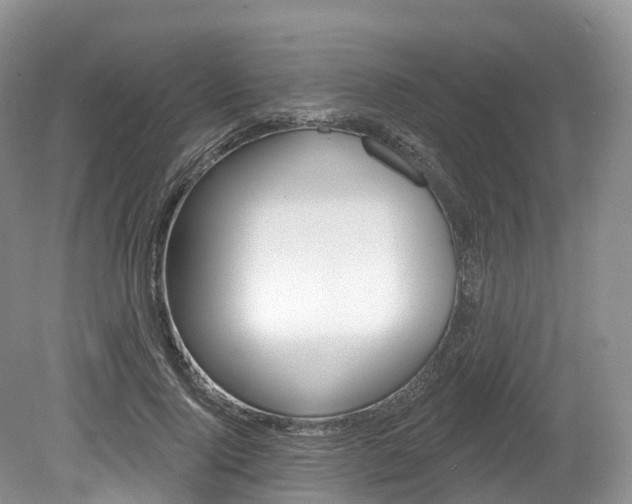 X0000080150740200612081052