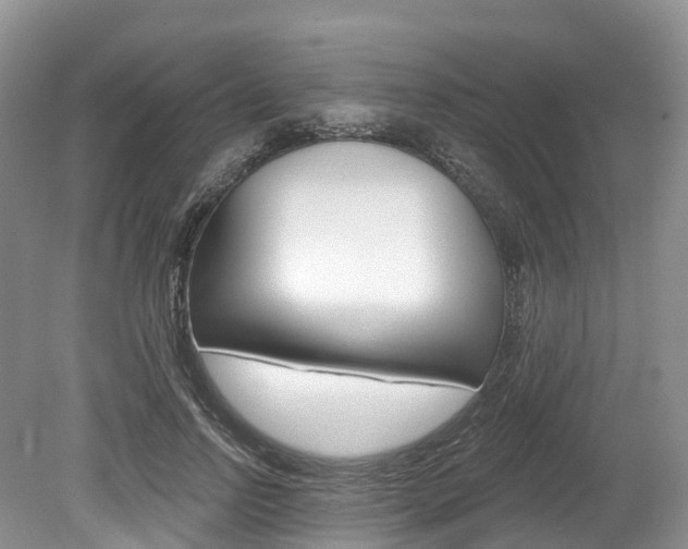 X0000080150742200612081052