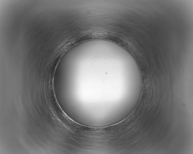 X0000080150744200612081052