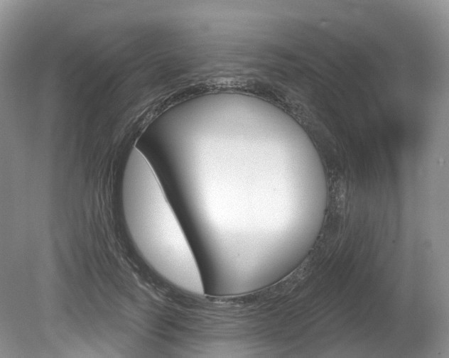 X0000080150746200612081052
