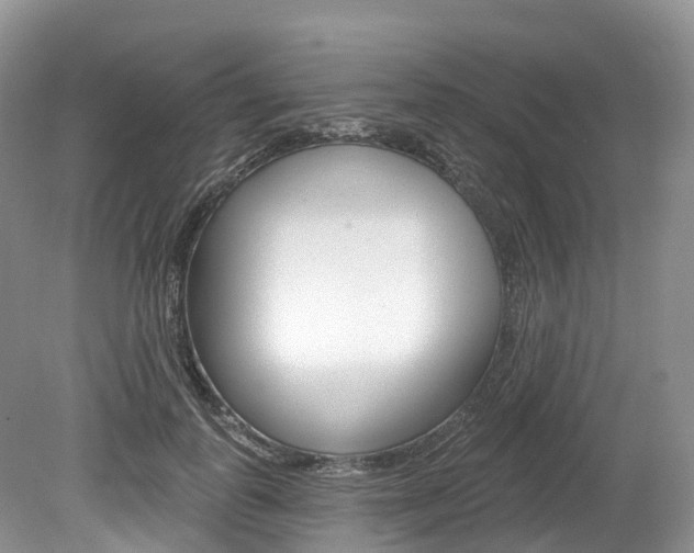 X0000080150747200612081052